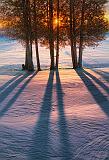 Sunrise Shadows_20992